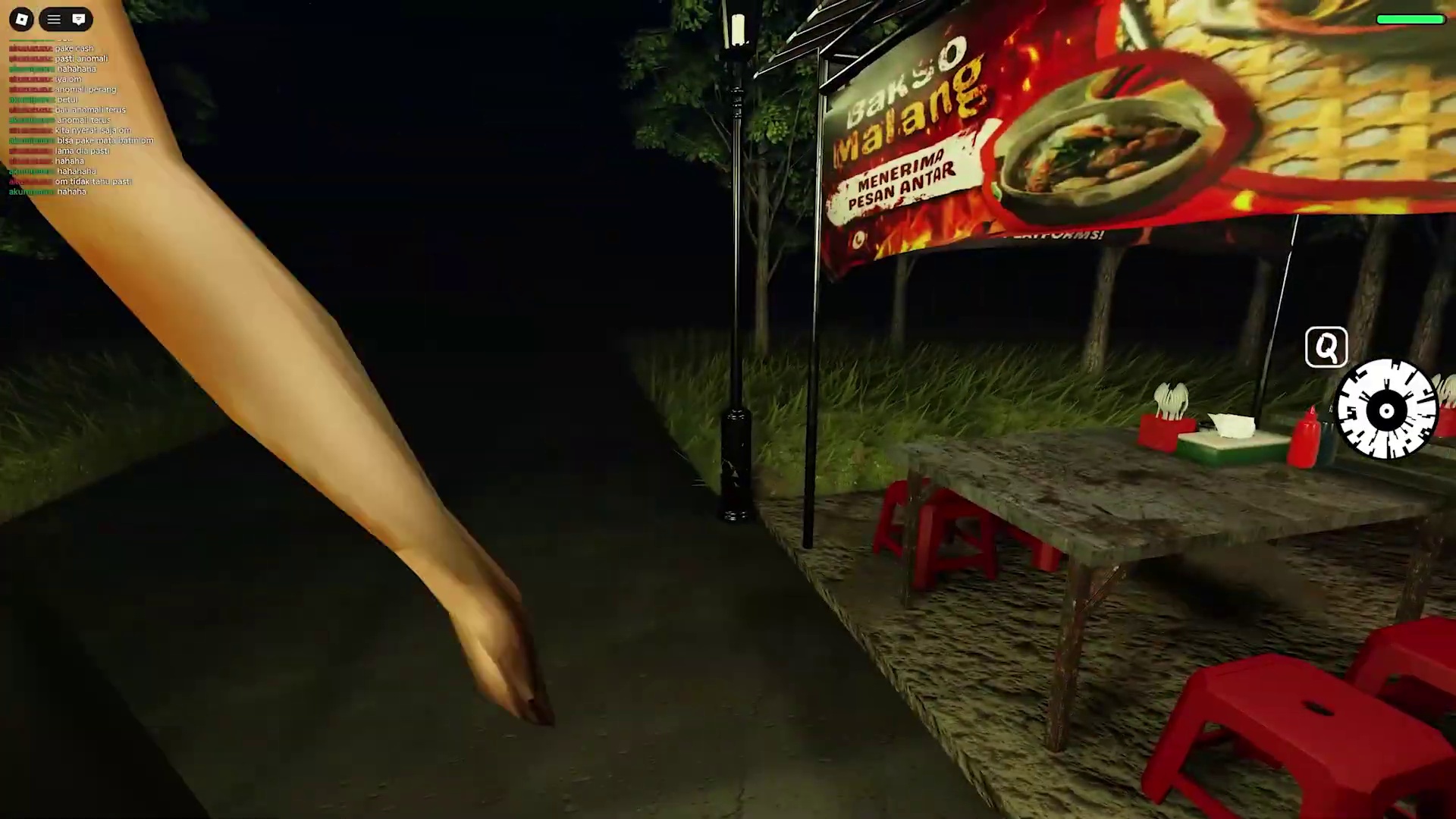 Delivery into Darkness: Perilous Journeys